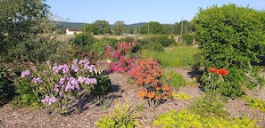 Boendeområde