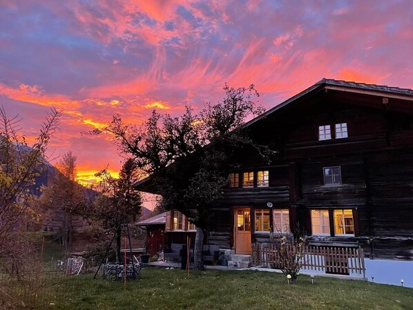 Exteriör