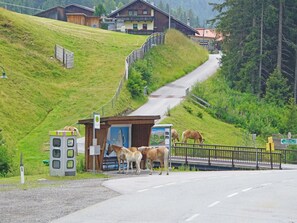 Bâtiment, Plante, Infrastructure, Pente, Montagnes, Maison, Lot Terre, Surface De La Route, Asphalte