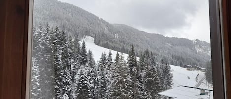 Sky, Property, Snow, Mountain, Nature, Black, Leaf, Branch, Slope, Tree