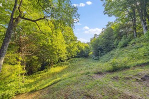 Overnatningsstedets område