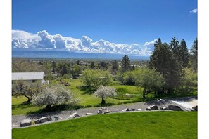 180 degree patio view