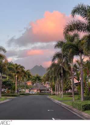 View from the exterior of the home