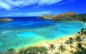 Waikiki Beach