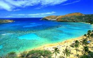 Waikiki Beach