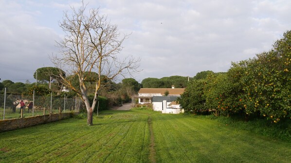 Property grounds