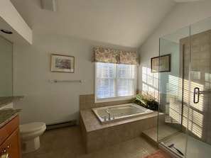 Master bath with standing shower and jet tub.