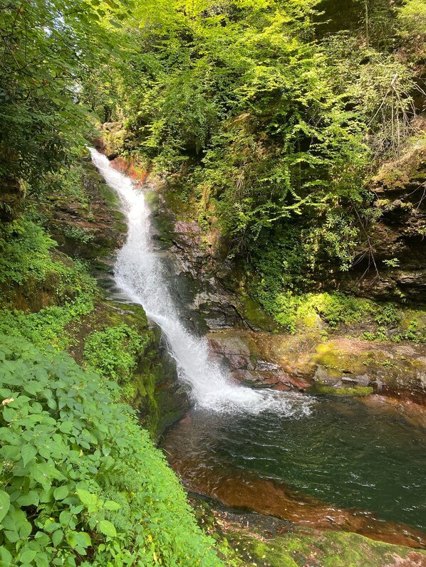 Another great waterfall in the community!