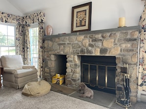 Grand room fireplace - pup not included!