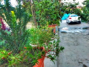 Property grounds