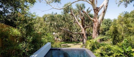 Heated pool nestled in garden