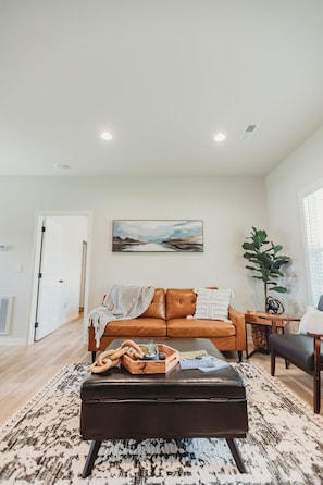 Living Room Area