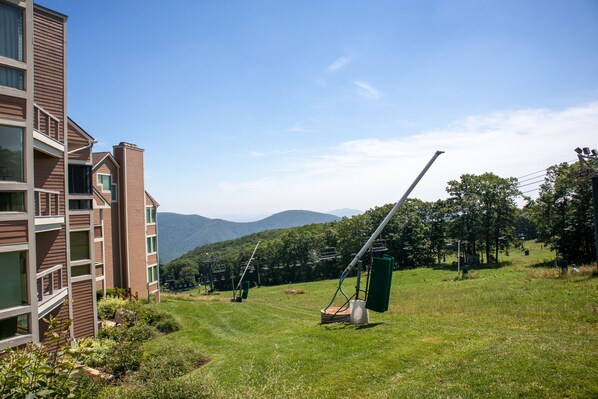 Summer view from patio