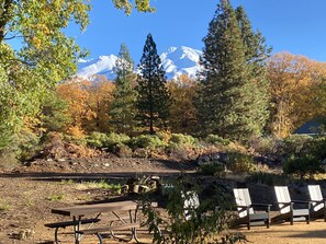 View of Mt Shasta from the shared backyard