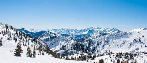 Wintersport/Ski