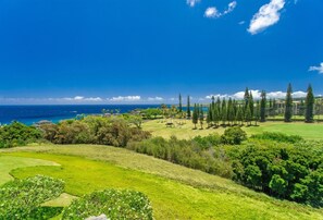 Luxury remodeled townhouse offering sweeping ocean, Molokai AND coastal views from every window