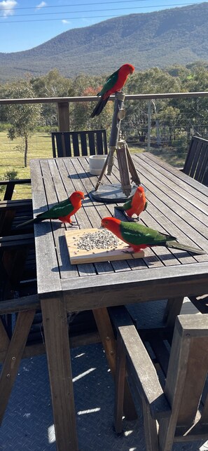 Friendly guests 