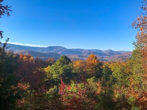 Fall Views