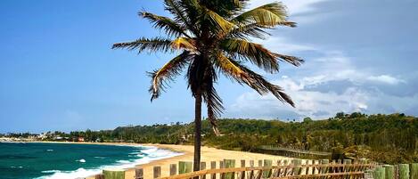 Welcome to Casa Ohana in Beautiful Montones Beach, Isabela, Puerto Rico