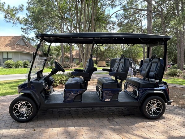 6-Seater Golf Cart