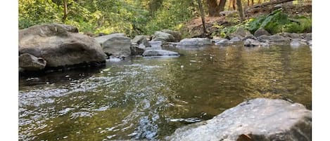 The creek in the backyard
