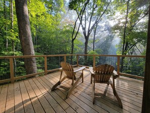 Deck view of the forest and valley