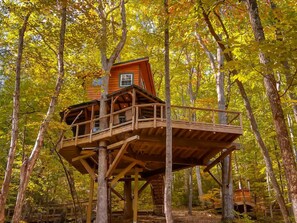 View of the Rubicon Treehouse from the fire-pit