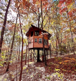 The treehouse is surrounded by the forest and beautiful fall colors