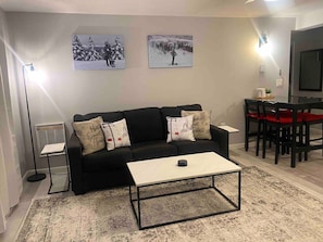 Living Room with pullout queen bed