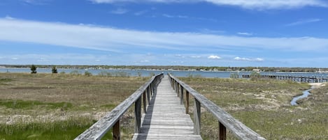 Boardwalk over marsh to the Beach