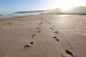 Wilderness main beach