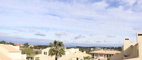 Beach/ocean view