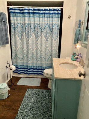 Main bathroom has tub and shower 