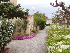 Chemin devant la maison