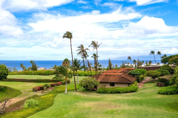 View from lanai