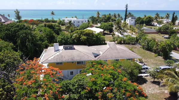 Yellow house in the foreground, just 200 meter walk to the beach. 