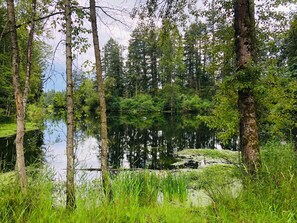 Boendeområde