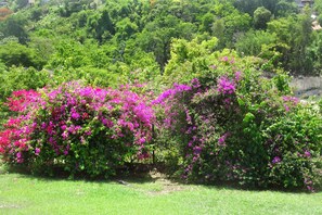 Terrenos do alojamento