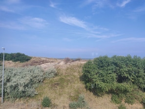 Sky, Cloud, Plant, Plant Community, Natural Landscape, Land Lot, Grass, Horizon, Plain, Landscape