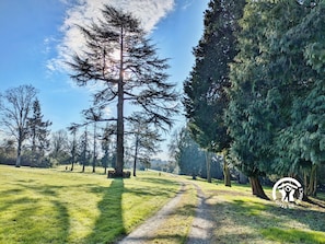 Dans le parc arboré de 1.3 hectare : mobilier de jardin avec table et chaises pour les repas, transats, barbecue à charbon. Jeux de pétanque, jeux de Molkky - H53G018763 - Château de la Roche – Ahuillé – Gîtes de France Mayenne