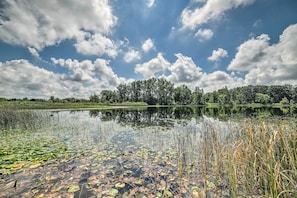 Järvi