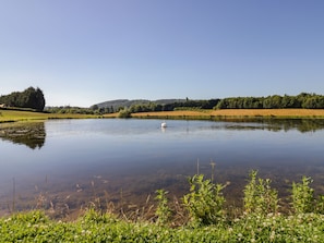 Järvi