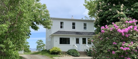 Oak Island House