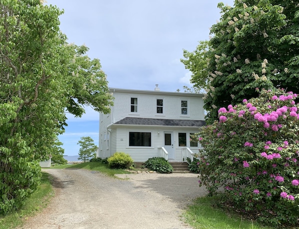 Oak Island House