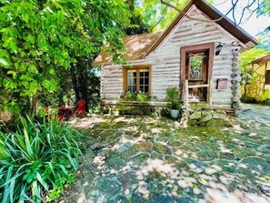 Front view of the cabin with its one-of-a-kind driveway! You will see everything from antique tools,