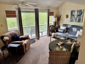 Light & bright open living space w/ cozy queen futon & recliner.