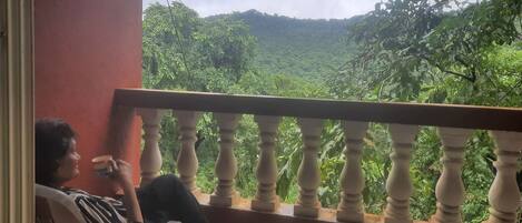 Beautiful Balcony View of green mountains with chirping of birds 