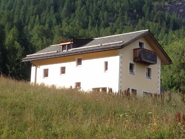 Exteriör