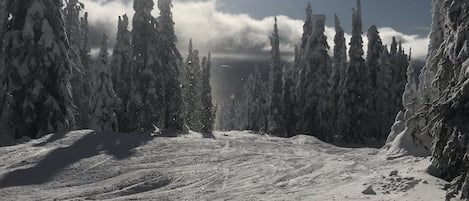 Big White Ski Resort!  Opening day Nov 24! Closing weekend is weekend of April 7