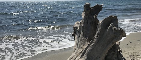 Vue mer accès direct à pied vers la plage à 200 mètres de l'appartement